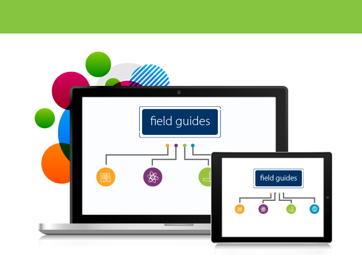 GRADES 5&6 Field Guides Campus Bundle – lead4ward